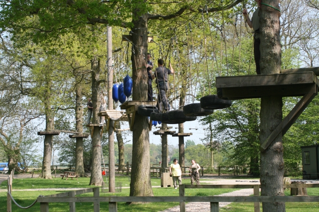  ¡Tree Top Adventure! 