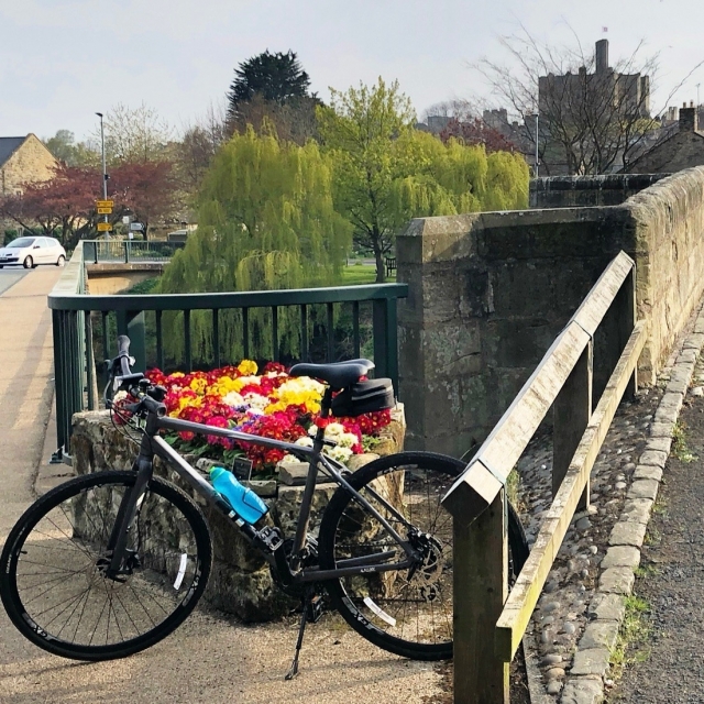  Disfruta de un paseo encantador