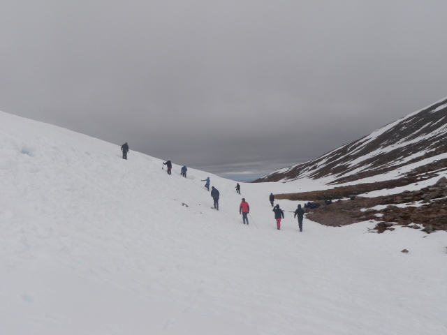  Una camicrema nevada 