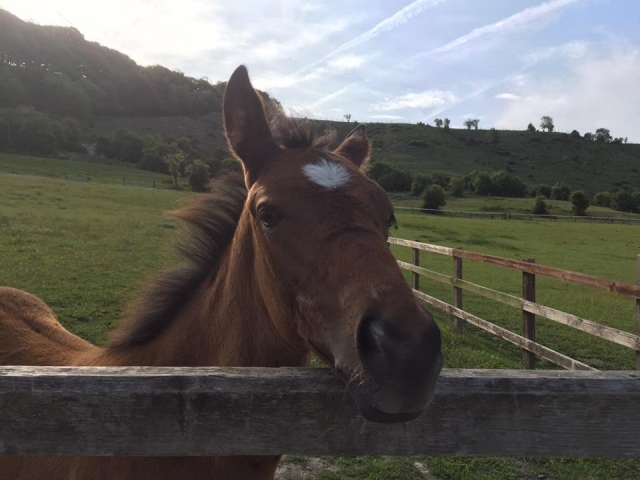  ¡Venga a conocer al equipo! 