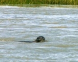  Observación del mar 