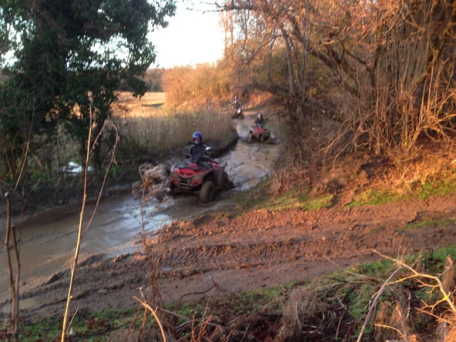  Algunos colores de otoño 