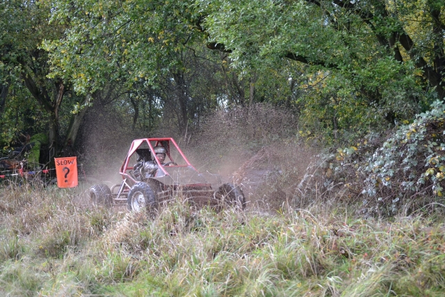  Los buggies son divertidos 