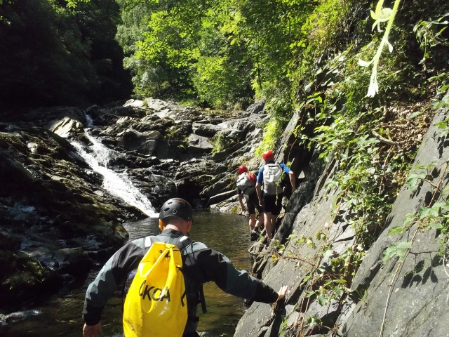  ¡¡Día trg de la garganta !! 
