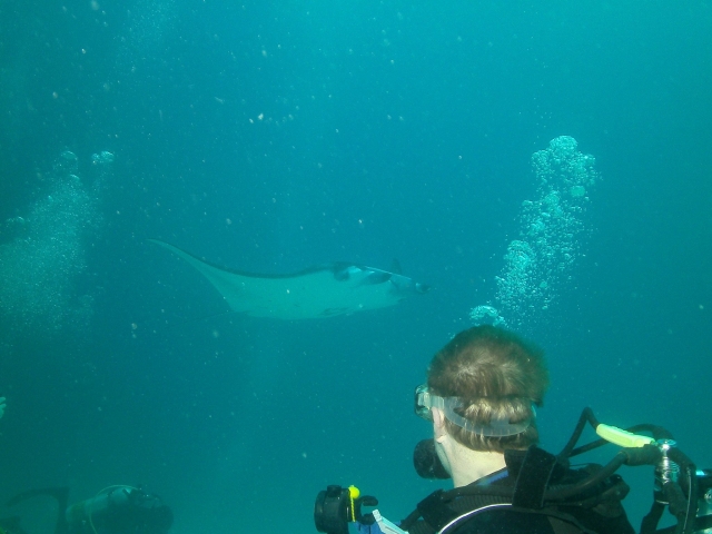  Experiencias de buceo 