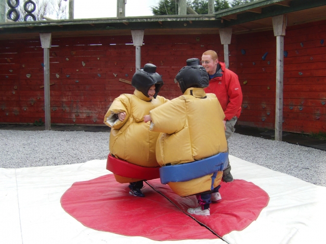  Sumo 