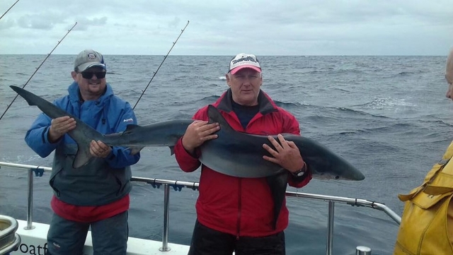  Aventuras de pesca