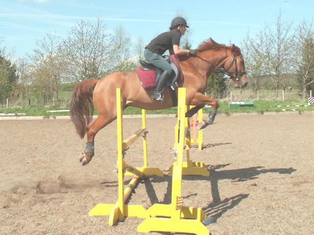  Saltos en la escuela de equitación de Vogrie 