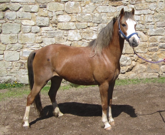  Venga y conoce a la familia ! 