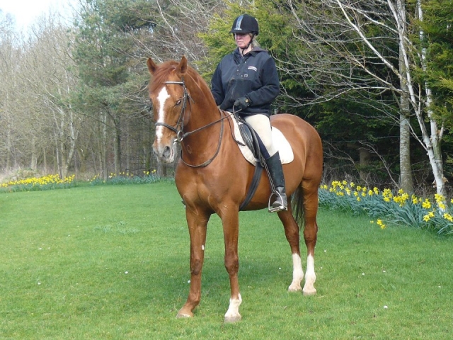  Doma avanzada en la escuela de equitación Vogrie