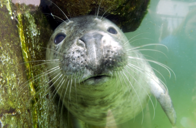  Centro de aventuras Clearsky Kayak 