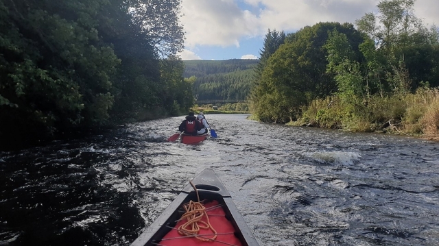  Captura de pantalla 2022-03-08 a las 9