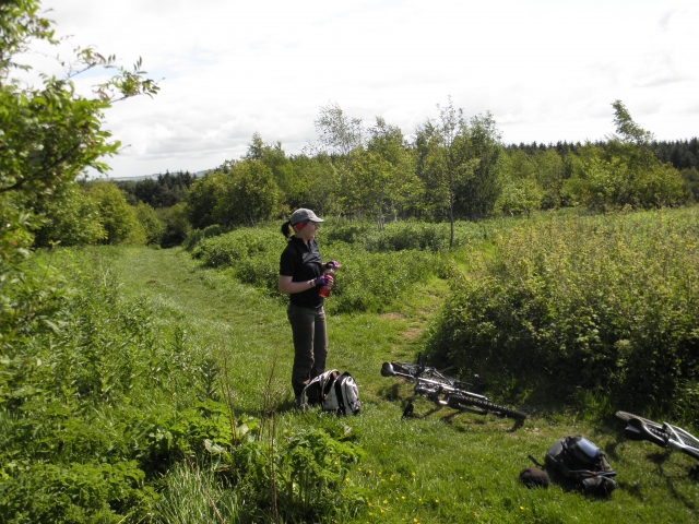  East Lomand hill en un impresionanle día de verano. 