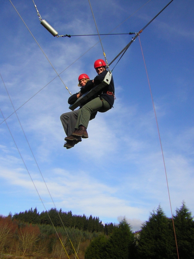  King Swing 