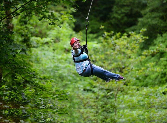  Zipline 