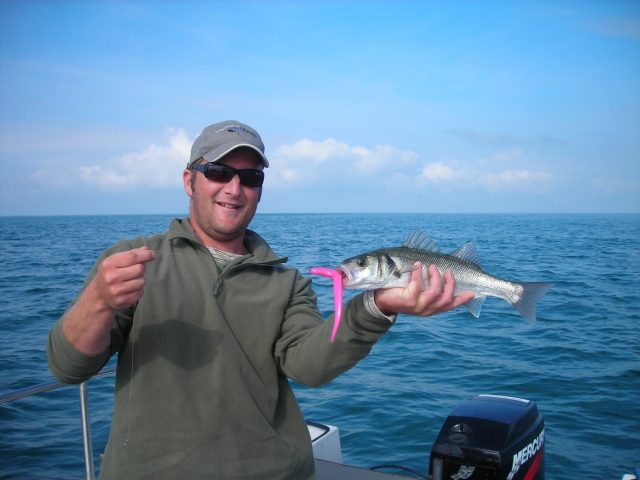  Bajo pequeño sobre plásticos blandos 