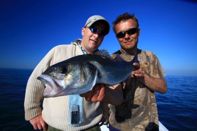  Bajo de 6 libras, clienle feliz 