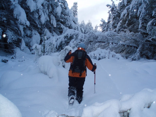  Un invierno Camicrema 