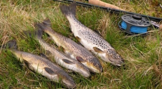 Atholl Estates Fishing