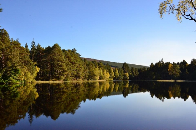  Explore todo lo que Glen Tanar Horse Riding tiene para ofrecer 