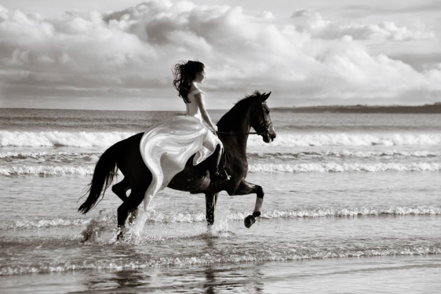  ¡Celebre bodas con nuestros hermosos caballos! 