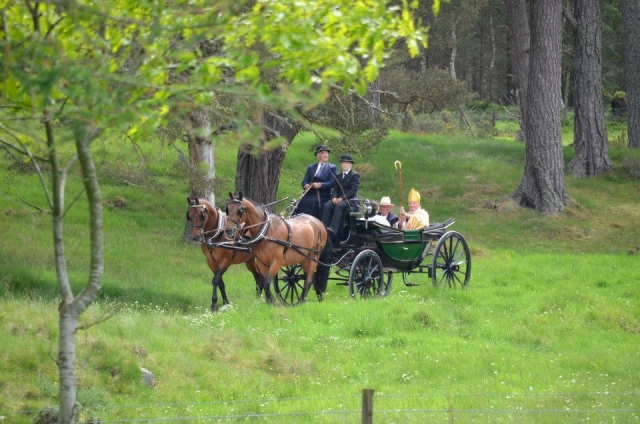  Da un paseo con Glen Tanar Horse Riding