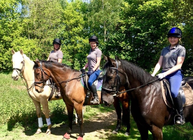  Hackear con Laris Farm 