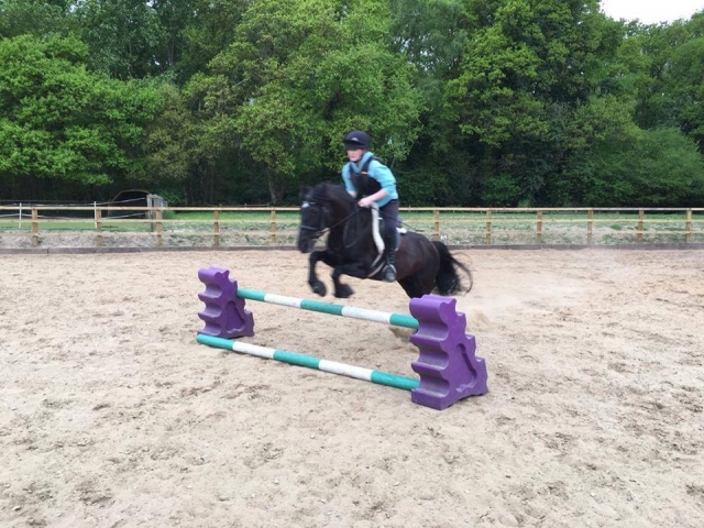  Saltos en Laris Farm 