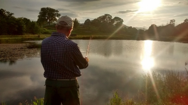 Experiencia pacífica