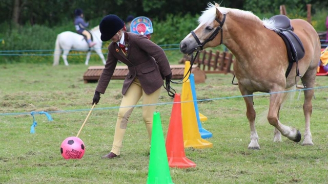  Actividades y juegos en Rossendale Valley Riding Club 