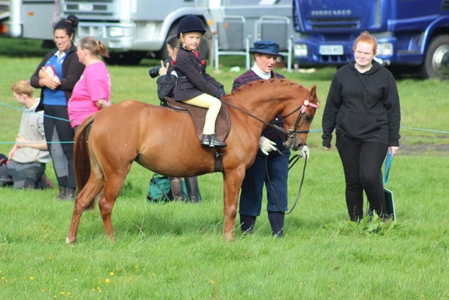  Equitación de novatos en Rossendale Valley Riding Club 