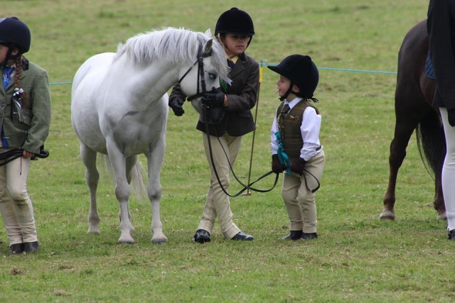  Equitación de guardería en Rossendale Valley Riding Club 