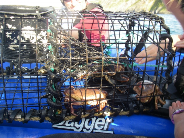  ¡Cuidado con los dedos! 