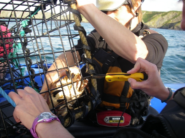  Nuestros guías lo ayudarán a manejar su pesca 