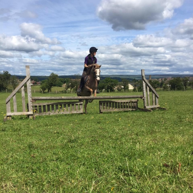 Wilsden Equestrian Centre