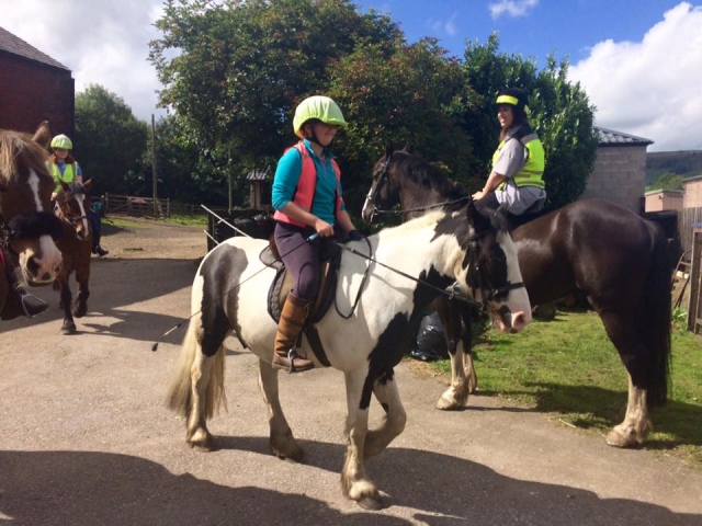  Nuestro descarado tipo Will. 