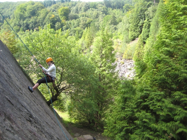  Curso de camicrema guiado