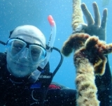  ¡Mire lo que encontramos! 