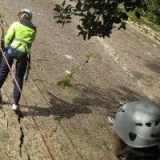  Escalando las laderas de los viveros de South Lakelands 