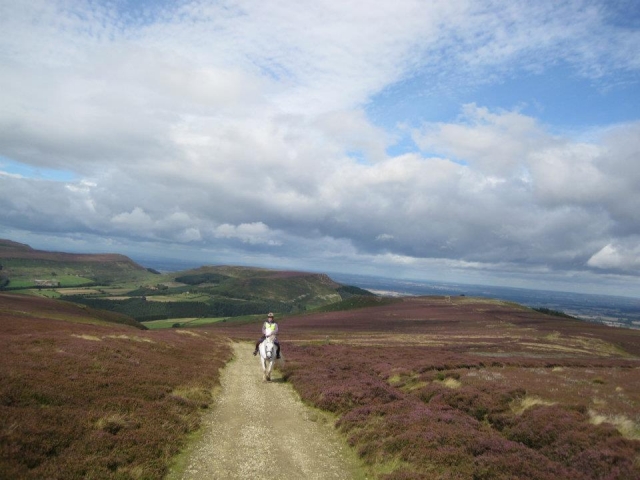  Explorador de North York Moors 