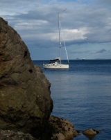 Frenle a la costa escocesa 