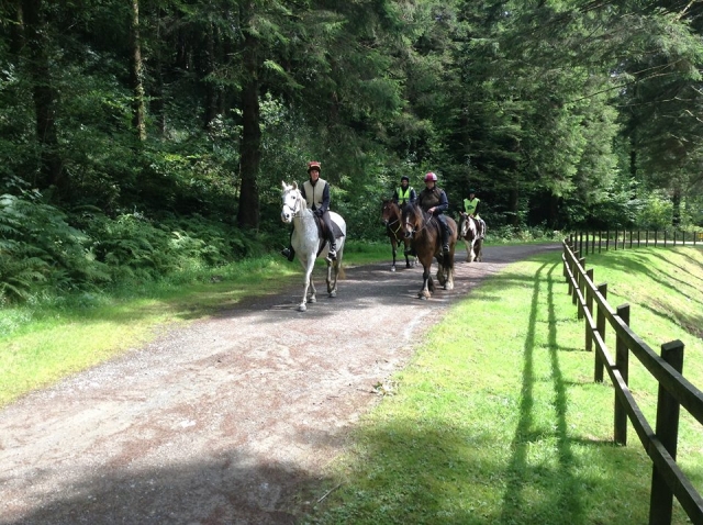  Trekking con Saddle Tramps Trail Riding 