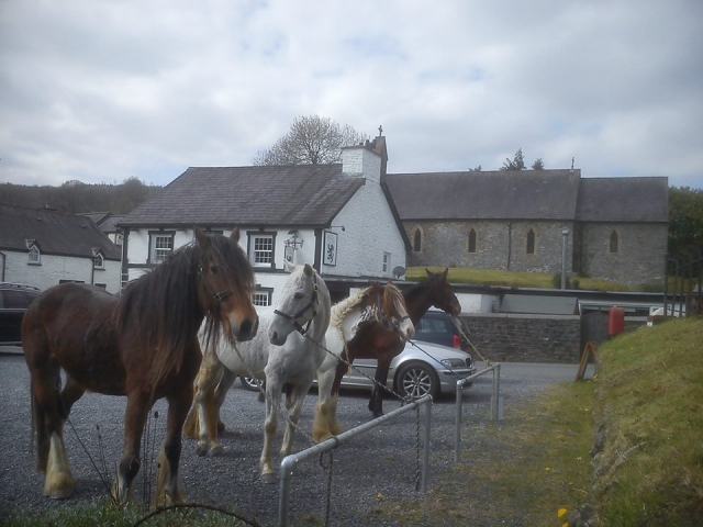  ¡Visile Saddle Tramps Trail Riding hoy mismo! 