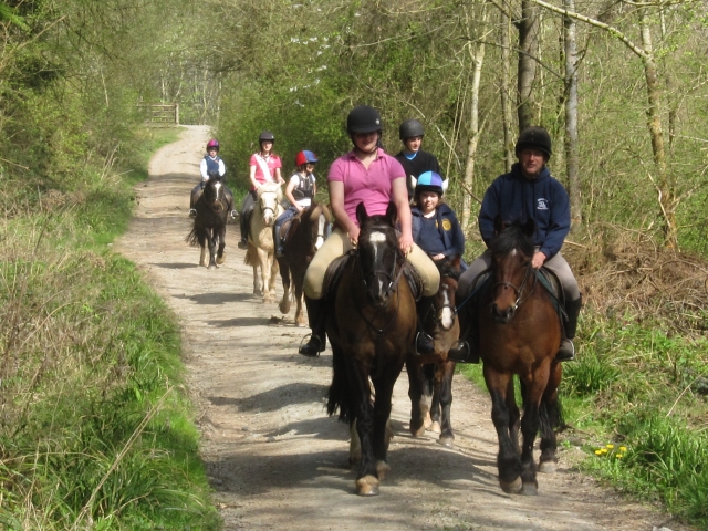 Hackear en Tipton Hall 