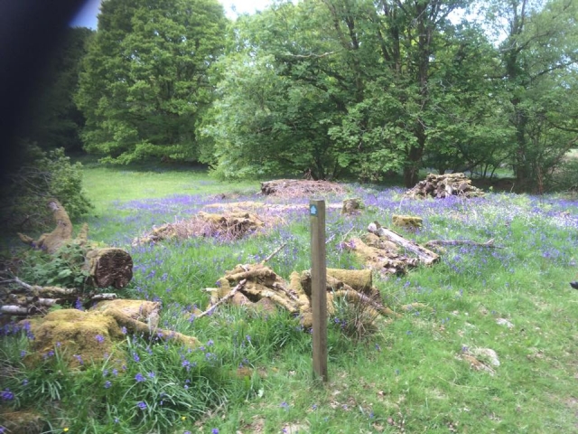  ¡Visile nuestros espacios!