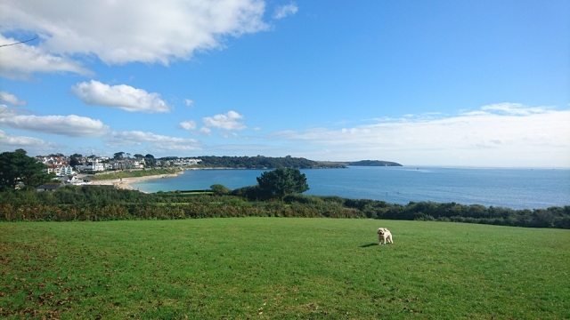 Falmouth