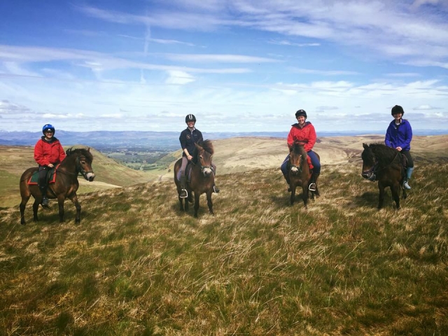  Doma clásica en la Exmoor Pony Trekking Society de la Universidad de Edimburgo 