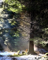  El sol atraviesa como un rayo