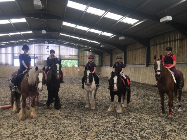 Barton Field Farm Equestrian Centre