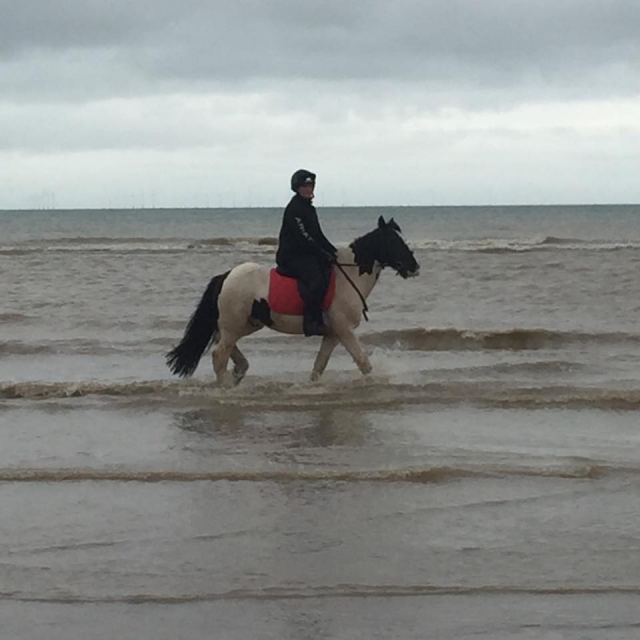  ¡Dale una vuelta por la playa! 